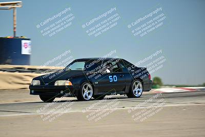 media/Jul-27-2024-Speed Ventures (Sat) [[14cea0cda4]]/Purple/Grapevine 11am/